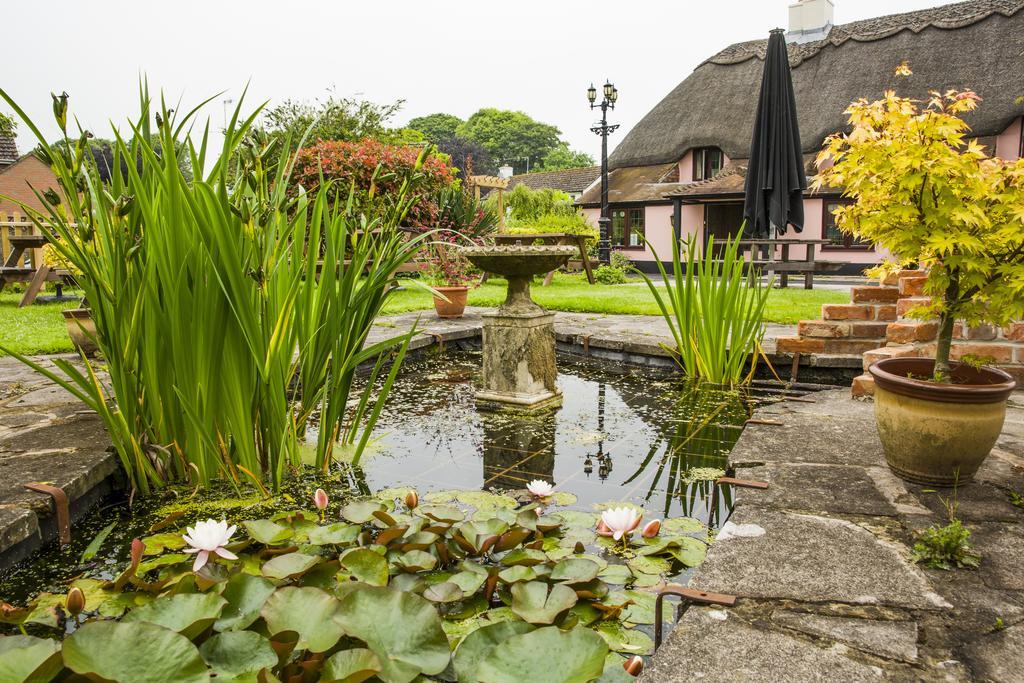 The Anvil Inn Blandford Forum Buitenkant foto